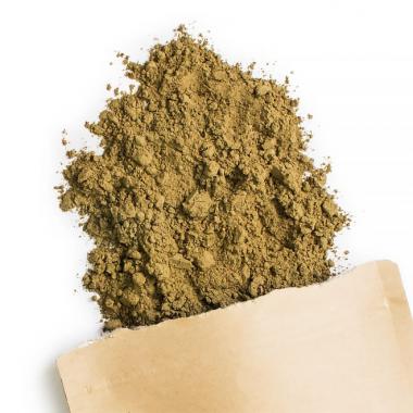 Brahmi et Concentration — Le Pouvoir Naturel de la Clarté Mentale
